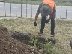  В с.п. Опытное и Красноармейское Терского района на участке автомобильной дороги Майский – Урожайное – граница с РСО-Алания производятся работы по подготовке инфраструктуры для дальнейшего монтажа системы освещения